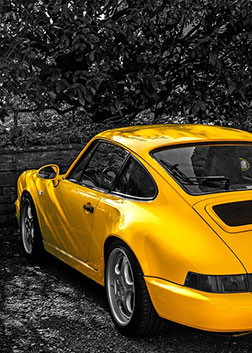 Sports car parked in the woods