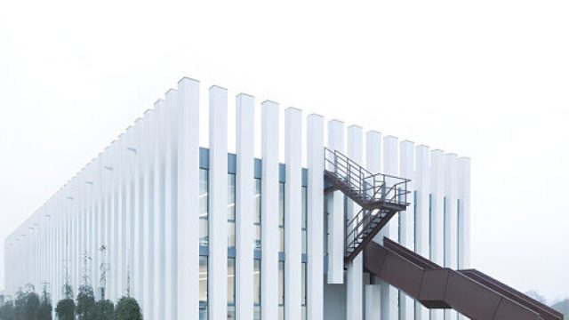 Captivating Pillars: A Modern Inspiration for Your Digital Space