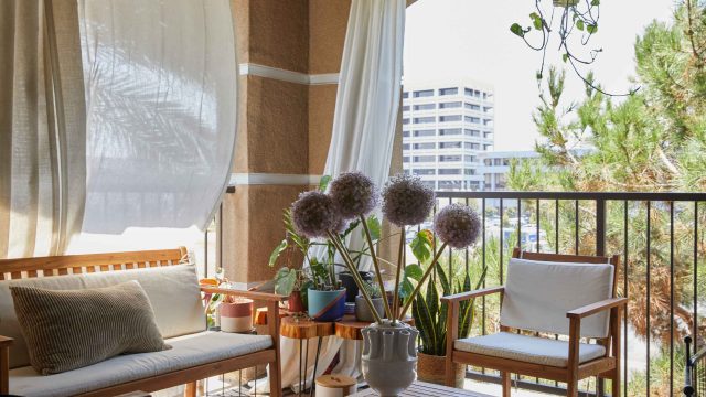Transform Your Space with Stunning Photography Wallpapers