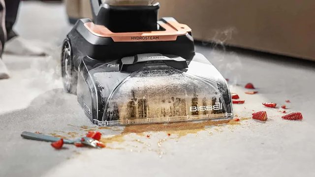 Photography: This Heavy-Duty Steam Cleaner Made My 10-Year-Old Rug Look New (I H