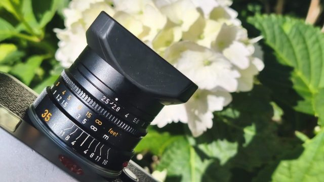 Captivating Visuals: Why Subtlety in Photography Matters Now | raja9 slot login, kampung 123 slot, slot olympus demo, rtp sjo777, gaelic luck slot