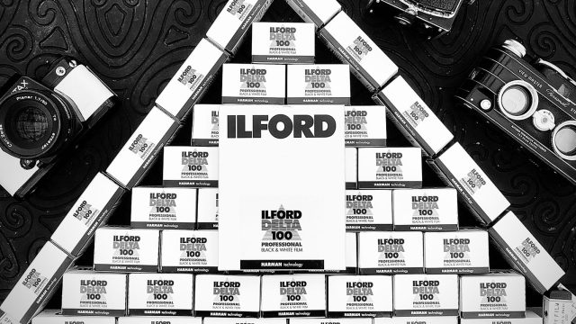 Captivating Monochrome: The Allure of Black and White Wallpaper | deposit sbobet1388, aztec treasure free slot game, skor88 asia, hit4d slot, slot online pakai pulsa
