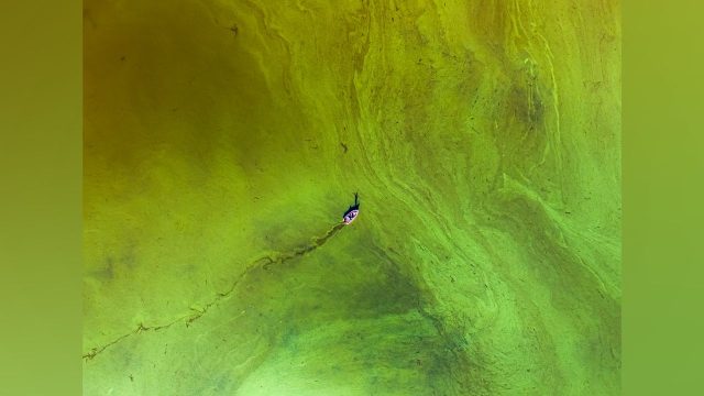 Stunning Drone Photography: Nature's Scale and Human Impact | football betting systems, cara dapat free spin coin master, whiteslote