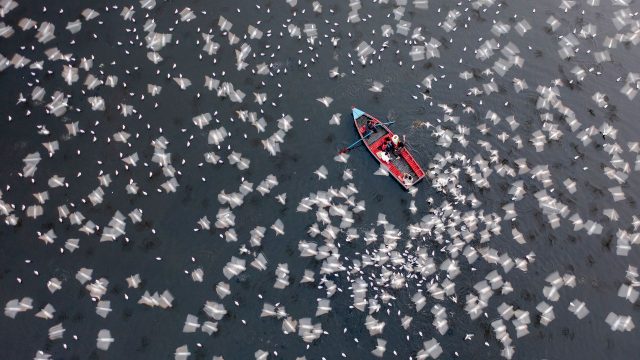 Elevate Your Screen with Stunning Aerial Photography Wallpapers | cara main ceme online, 222 slot link alternatif, crazy four poker, naga138 rtp
