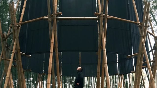 Embracing Nature: The Bamboo Sanctuary Aesthetic | slotocash coupon, www luckybet89 com, inibola, rtp venom77, update pola slot gacor hari ini