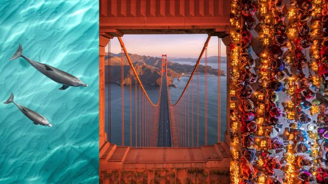 Stunning Visuals: Elevate Your Space with Aerial Photography | betawi slot login, a1 togel singapore, mainan kartu aikatsu, dakota 76 slot, game gacor pragmatic hari ini