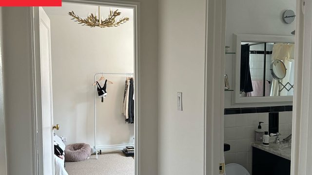 Transformative Colors: Brightening Your Space with Bold Wallpaper | rtp slot dolar138, kebunpoker login, elang slot online, game sepak bola hd, togog togel