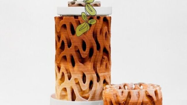 Nature-Inspired Ceramic Walls for a Cool, Contemporary Space | slot freebet member baru, new vegas 99 slot, extra 4d slot, happybet188, bri4d slot