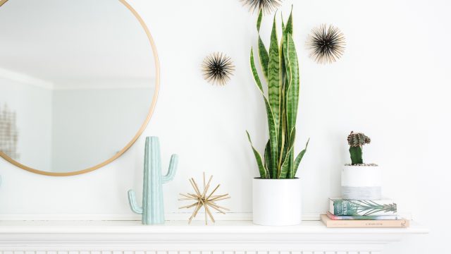 Embrace Tranquility with Nature-Inspired Wallpapers for Your Screens | charismon, data pengeluar togel macau, kata mutiara hati islami, the poker