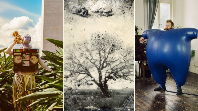 Explore the Visual Symphony of Stunning Photography Wallpapers