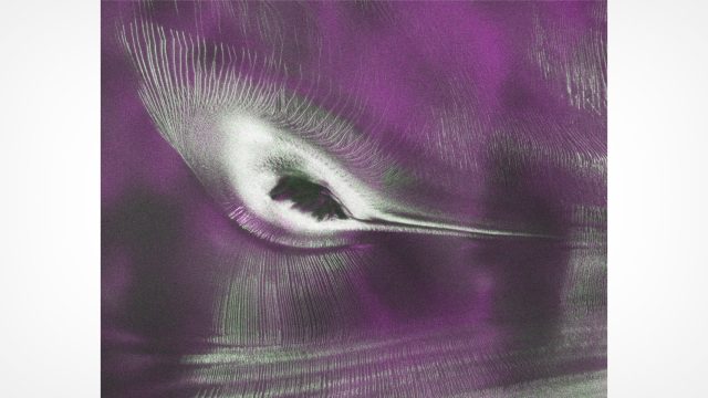 Discover the Enigmatic Hummingbird Shape in Antarctic Ice