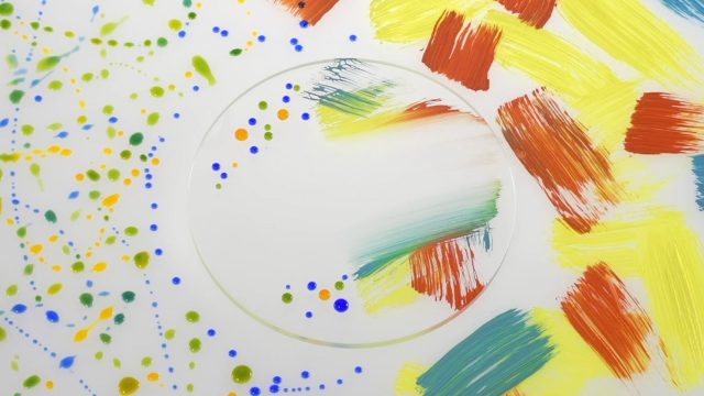 Captivating Visuals: Explore Nature's Palette for Your Screens