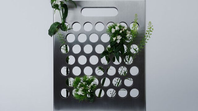 Embrace Nature's Elegance: Stunning Floral Wallpapers for Your Devices