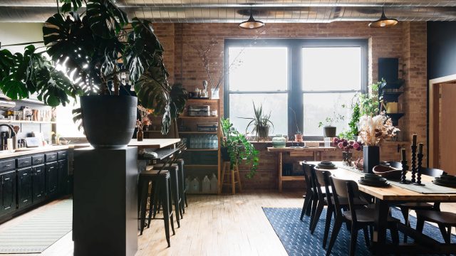 Transform Your Space with Unique Plant-Inspired Wallpapers