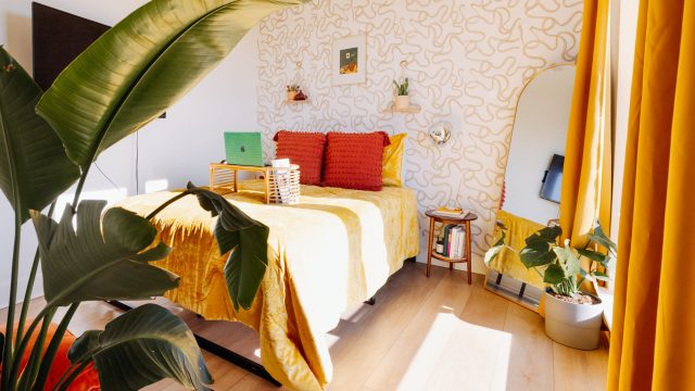 Captivating Wallpaper Inspirations for a Modern Aesthetic