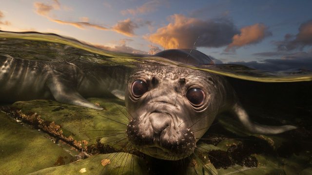 Dive into Stunning Ocean Imagery for Your Screen