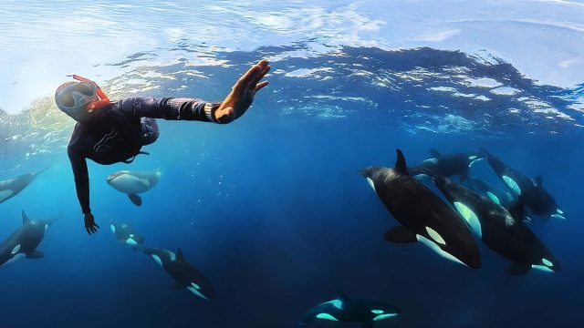 Explore the Depths: Capturing Underwater Photography Magic