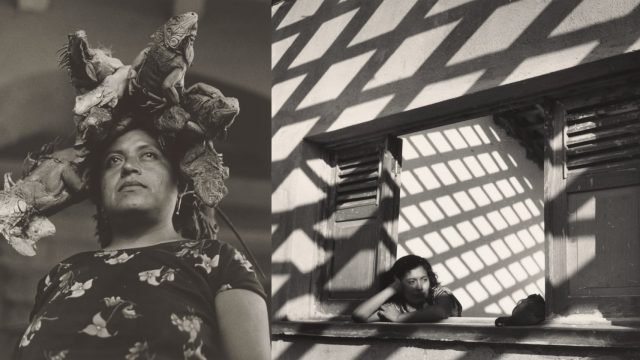 Vibrant Visuals: Exploring the Allure of Contemporary Photography