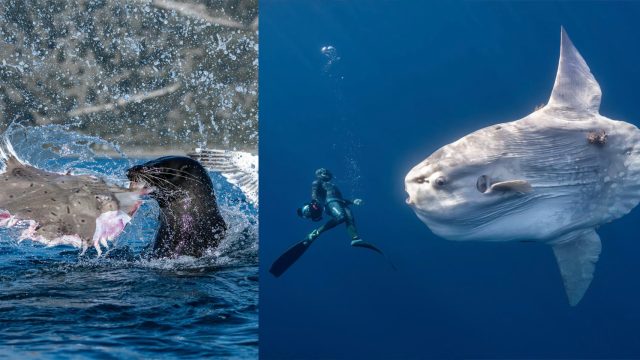 Stunning Ocean Photography: A Visual Journey for Your Screen