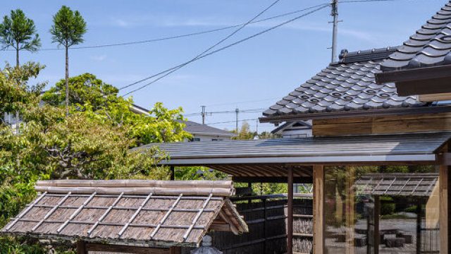 Serene Japanese Garden Retreat: A Visual Escape