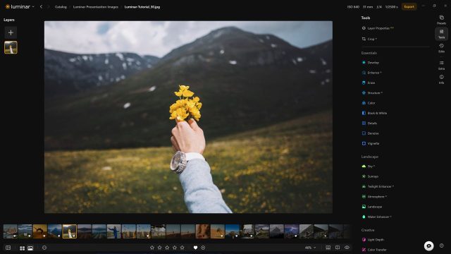 Exploring the Tranquil Charm of Nature-Inspired Wallpapers