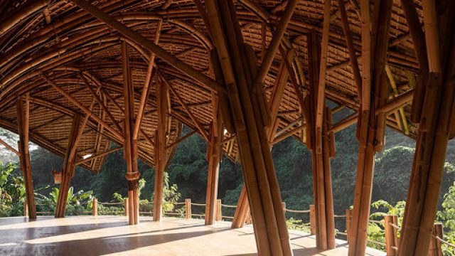 Serenity in Structure: The Lotus-Inspired Yoga Pavilion in Bali