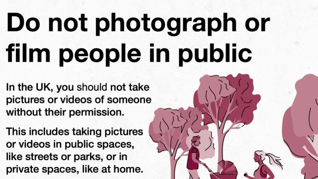 Captivating Visual Themes for Your Digital Backgrounds