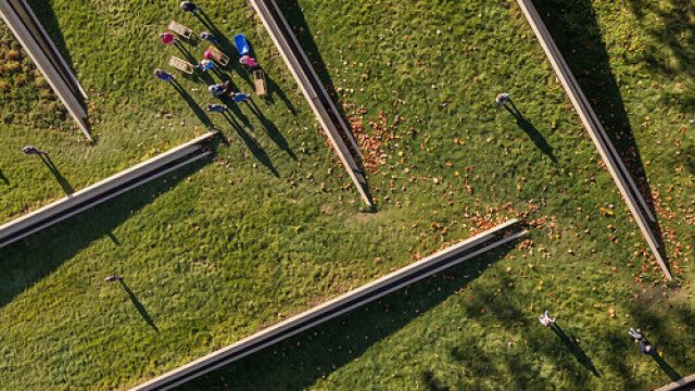 Transforming Spaces: The Allure of Urban Timber Landscapes