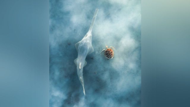Exploring the Depths: Stunning Aerial Photography for Your Screen