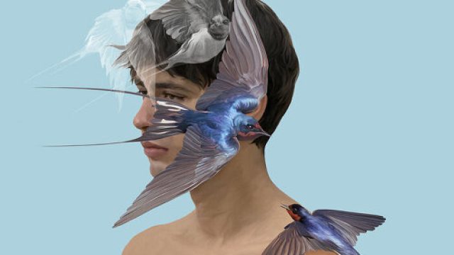 Exploring Visual Narratives: Art and Emotion in Wallpaper Design