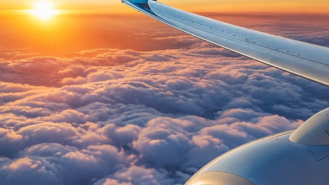 American Airlines Enhances Comfort with Updated Fleet for Summer Travels | togel singgapura hari ini, daftar misteri togel, julukan goat
