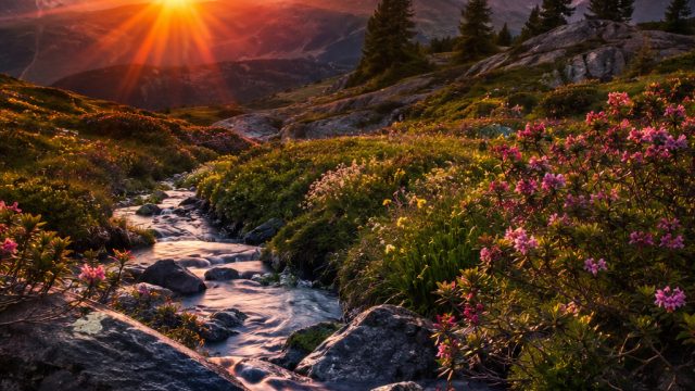 Captivating Nature Landscapes: The Perfect Background for Your Device | unibet sports betting, main 