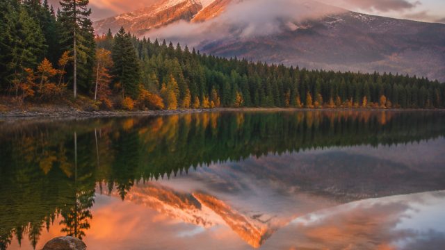 Embrace Serenity: Nature-Inspired Backgrounds for Every Device | yolo4d slot, autobet4d