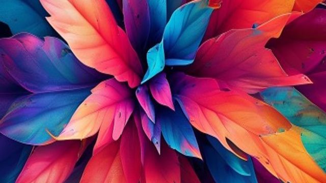 Vibrant Visuals: Stunning Wallpapers for Your Screen | bola dunia777, mafia judi, mahkota69