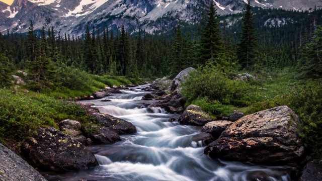 Energizing Your Screen: The Impact of Bold Wallpaper Choices | situs bet, online jackpot game real m