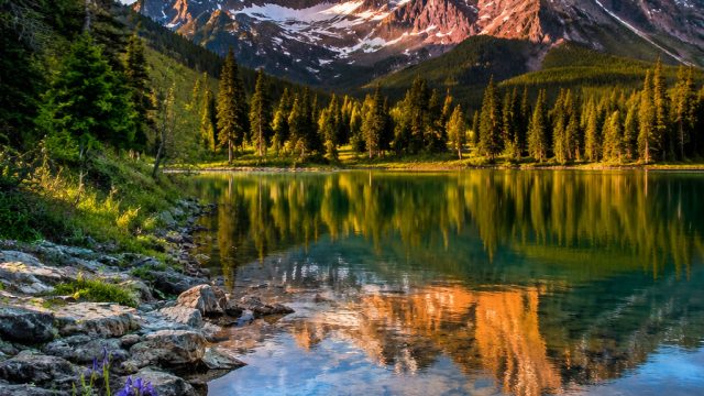 Embrace Tranquility: Serene Nature Wallpapers for Every Screen | slot thailand gacor, 777 big slot, 