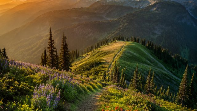 Captivating Scenic Wallpapers: Nature’s Vibrancy Unleashed | emas787 slot login, go casino, om nom g