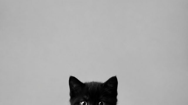 Charming Monochrome Humor: Minimalist Art for Your Space | suhu qq, slot terbaru bonus new member