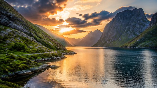 Captivating Wall Art: Nature-Inspired Backgrounds for Your Screen | lionel ronaldo, kedai 169 rtp, p