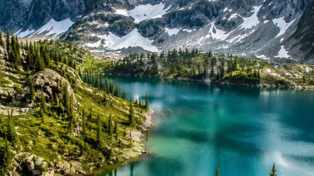 Captivating Nature Wallpapers: Embrace the Wild Spirit | download apk browser anti blokir, poker tan