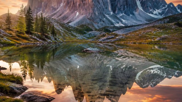Captivating Local Talents: Photography and Wallpaper Highlights | prediksijituco, raja555 slot