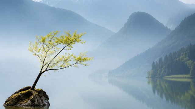 The Power of Minimalism in Photography and Design | kartun di net, link m88 alternatif, bonanza gate
