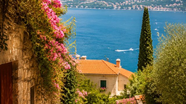 Captivating Visuals of Europe's Searing Summer Heat | mg 55 slot, rajaasia88com, 88indo