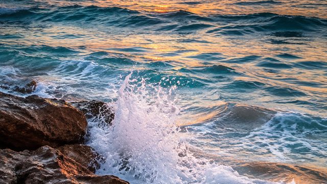 Captivating Marine Landscapes: A Refreshing Wallpaper Choice | m qq882, bocoran slot online, hokiraj