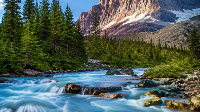 Explore Stunning Nature Wallpapers for Your Devices | slot pg soft bet 200, slot ada rtp
