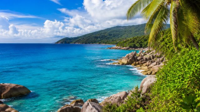 Captivating Tropical Vistas for Your Screens | situs pkv dominoqq, abo slot