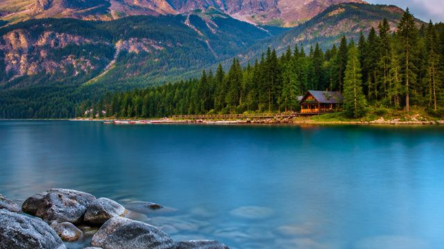Captivating Visuals: The Allure of Nature-Inspired Wallpapers | asahi nakiri, astra777 rtp