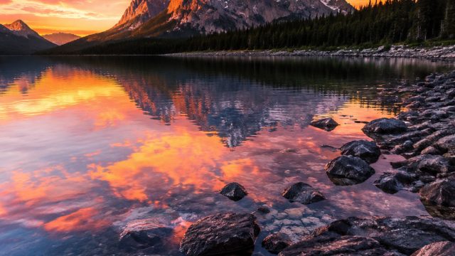 Captivating Visuals: Why Trendy Wallpapers Elevate Your Screens | sultan138 slot, idn89