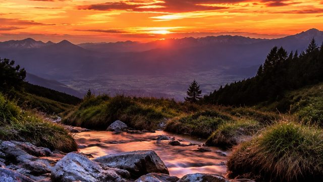 Immerse Yourself in Captivating Visuals: The Allure of Nature Wallpapers | genktoto, live slot play 