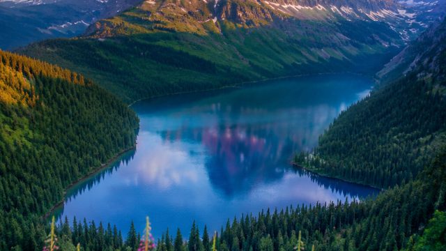 Exploring the Beauty of Nature: Stunning Wallpapers for Every Device | situs slot promo new member, 
